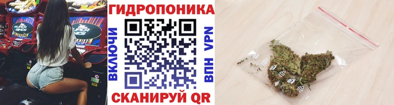 Каннабис VHQ Иннополис